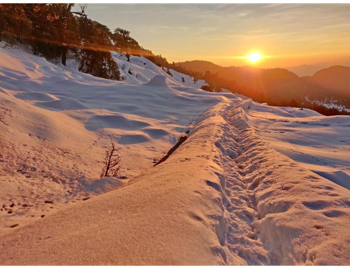 Chopta Wildlife Camps Resorts, Chopta Екстер'єр фото
